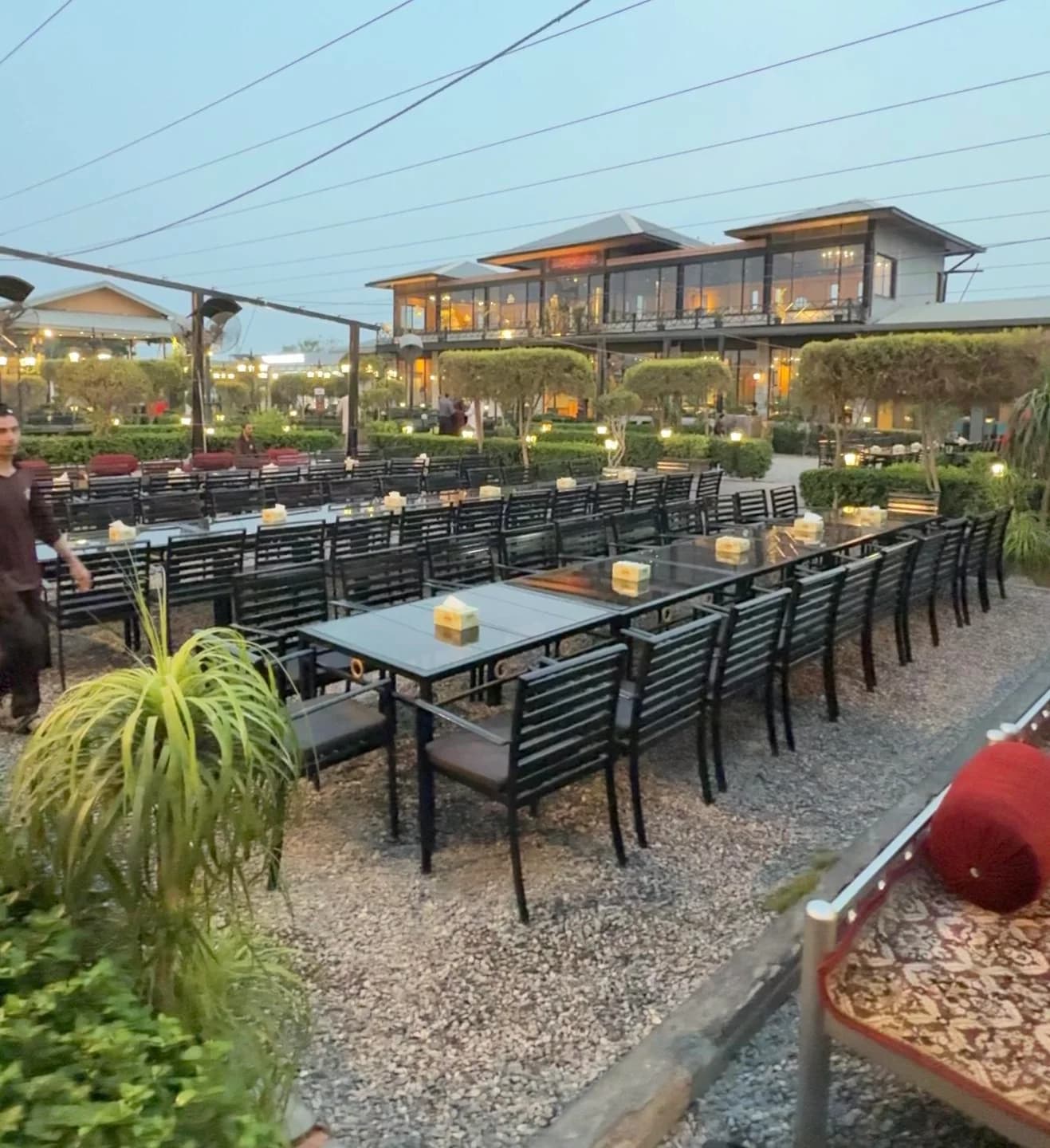 Outdoor dining tables and chairs among plants, with the restaurant building in the background